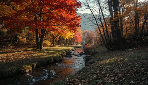 林中小溪2K高清壁纸